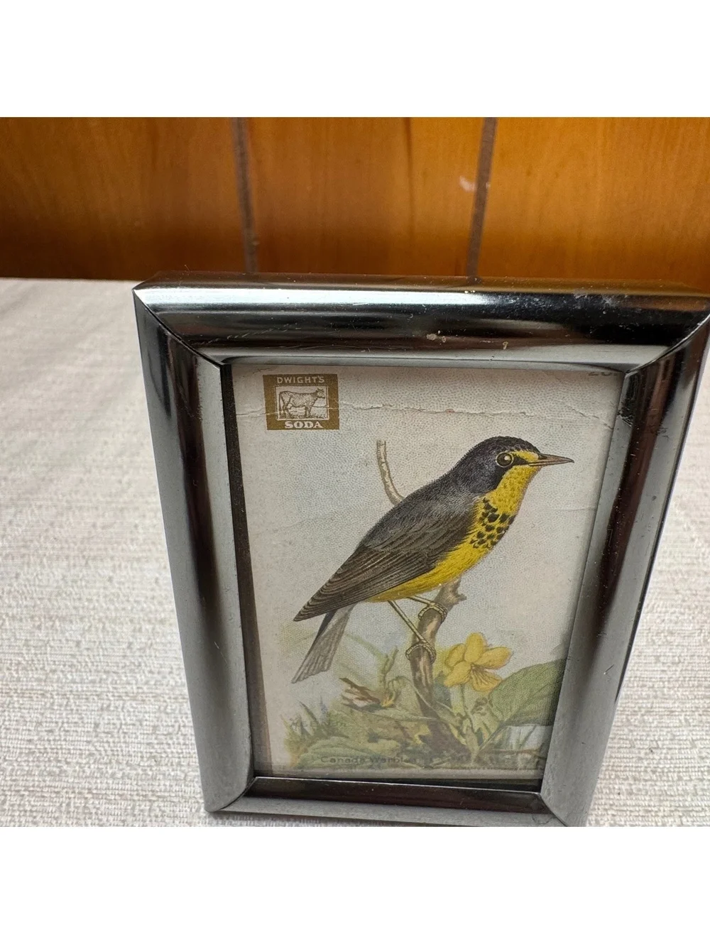 Vintage Mini Bird Prints in Silver Tone Frames Set of 2 Dwight’s Soda Card Art